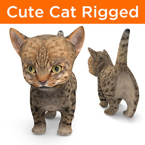 cute cartoon cat rigged model