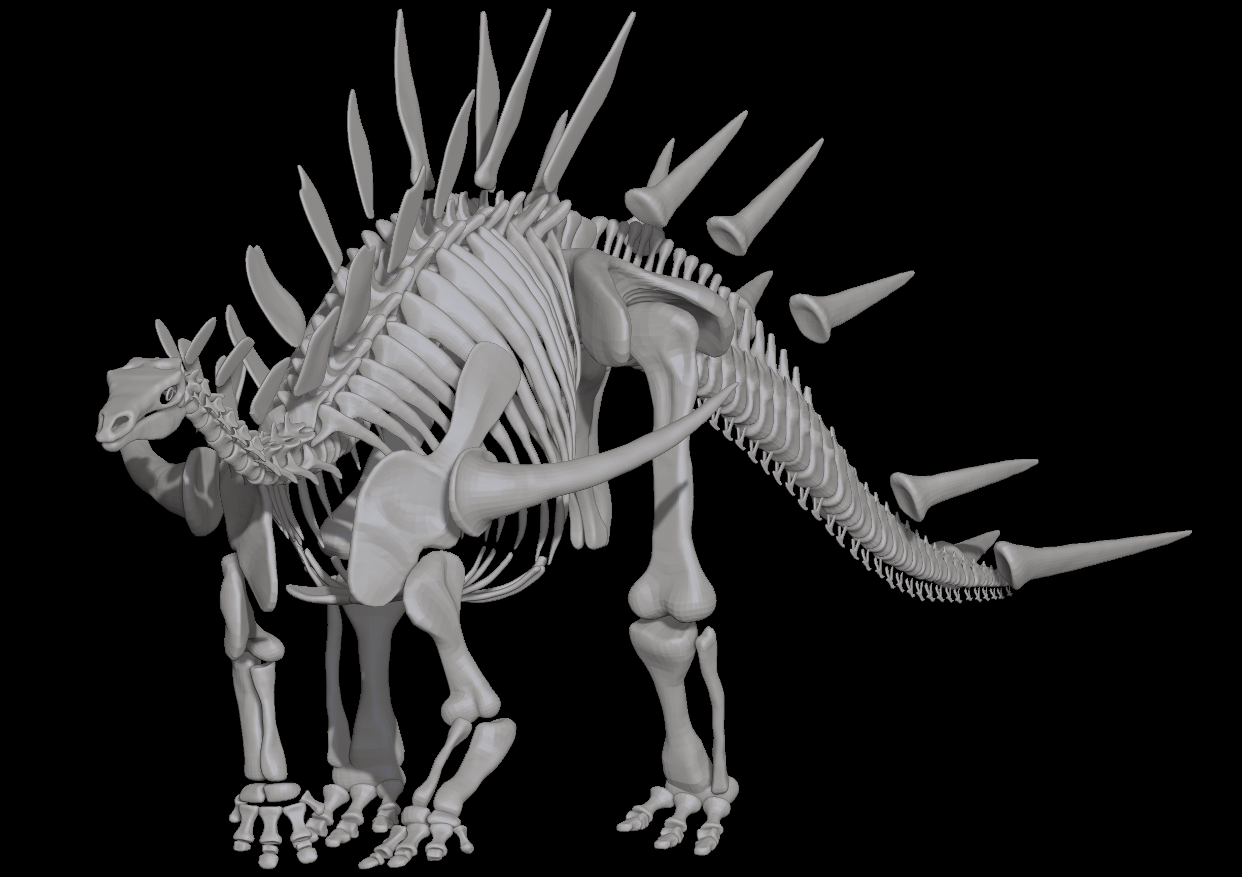 3D kentrosaurus skeleton dinosaur - TurboSquid 1254077