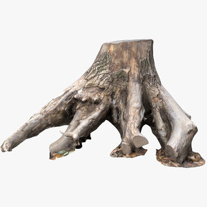 old stump 3D