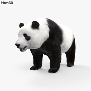 3D giant panda model