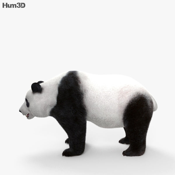 3D Giant Panda Model - TurboSquid 1254308