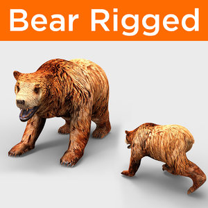 3D bear rigged model