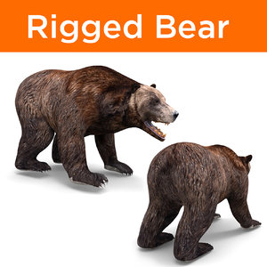 Rigged Bear Blender Models For Download Turbosquid