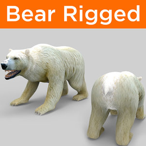 bear rigged 3D model