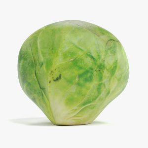 brussels sprout 3D