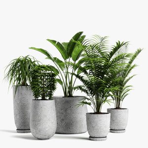 plants set 04 3D model