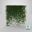 ivy pbr branches 3D model