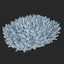 corals sun brain 3D model