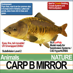 3D model carp b mirror