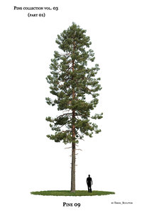 pine-tree tree model