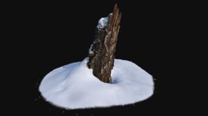 photoscan stump snow 1 3D