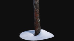 photoscan birch trunk snow 3D model