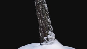 3D photoscan birch trunk snow
