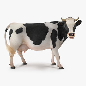 Cow 3d Models For Download Turbosquid