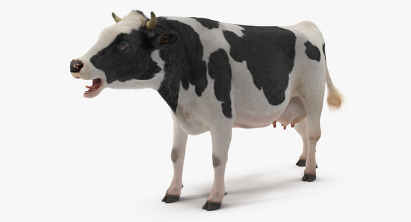 3D model dairy cow fur rigged - TurboSquid 1257280