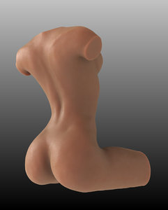 3D anatomy female body model