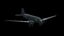 3d model douglas c-47 skytrain world s