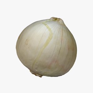 scan onion model