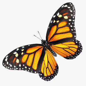 monarch butterfly fur rigged 3D model