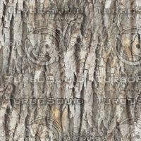 Tree bark