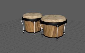 3D bongo model