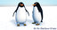 penguin cartoon 3D model