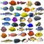 41 fish aquarium model