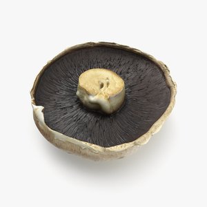 mushroom obj