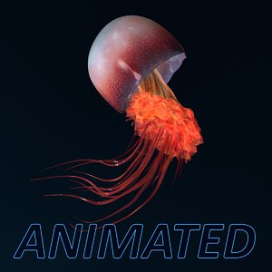 3D jellyfish animations model