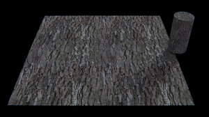 pinus pinea pine bark seamless