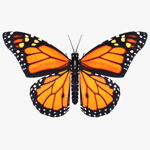 realistic monarch butterfly 3D model