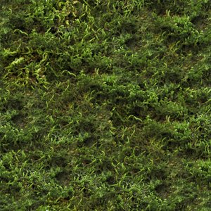 Moss textures