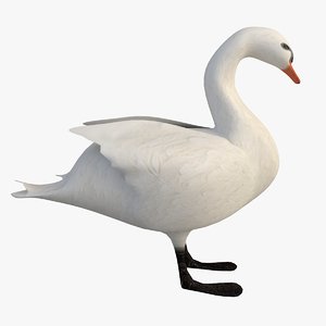 swan water model