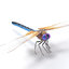 dragonfly animation 3d model