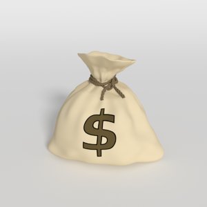 money bag 3d model
