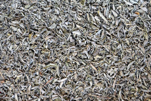 Sage Leaves Tea Texture