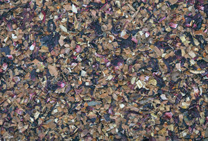 Dried Apple and Cinnamon Tea Texture