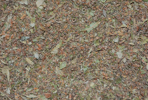 Dried Linden Leaves Tea Texture 2