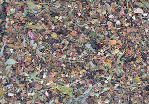 Winter Herbal Tea Texture