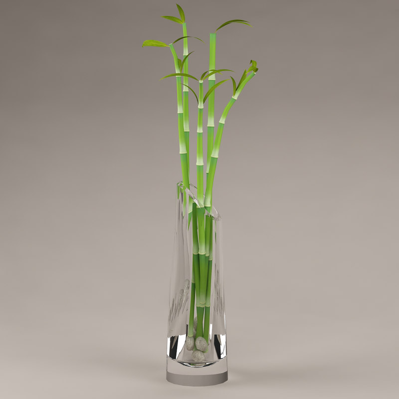 3d Bamboo Plant