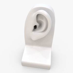 3D model ear printed