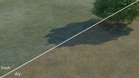 Grass_texture corona HD