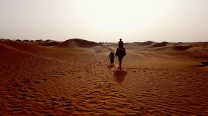 Shell Script THEPROXTN