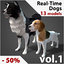 dogs real-time max