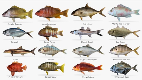 fbx saltwater fish