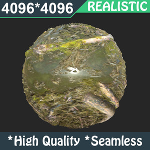 Jungle Wet Ground 001