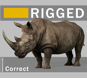 3d rigged rhino
