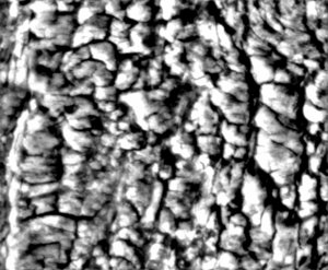 3 PBR TEXTURE
