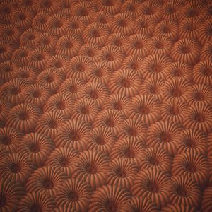 Corals tileable texture