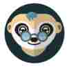 member avatar